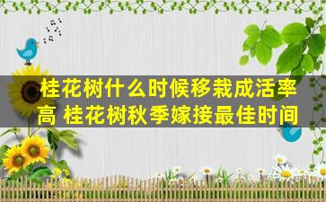 桂花树什么时候移栽成活率高 桂花树秋季嫁接最佳时间